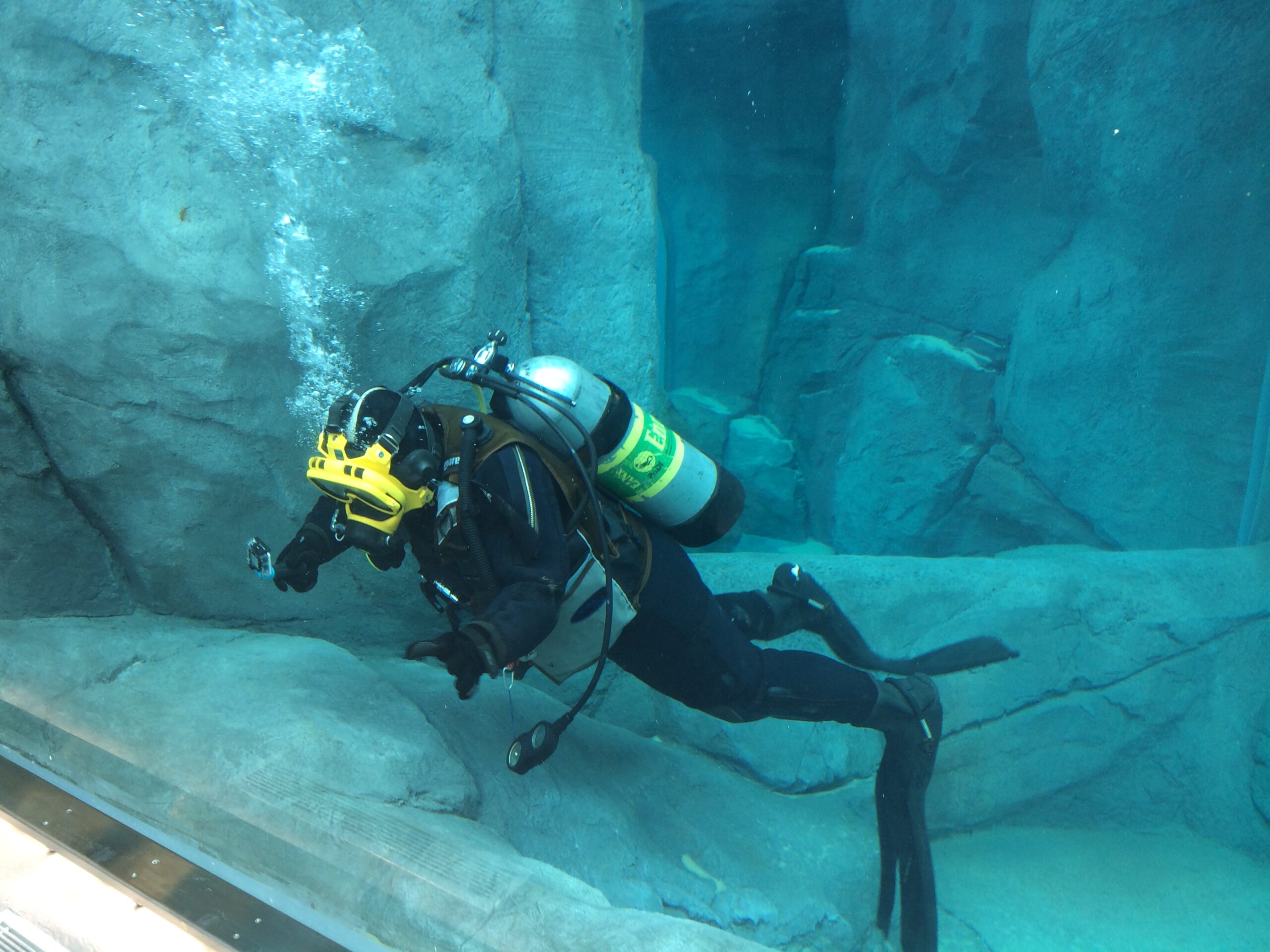 Performing maintenance in an aquarium.