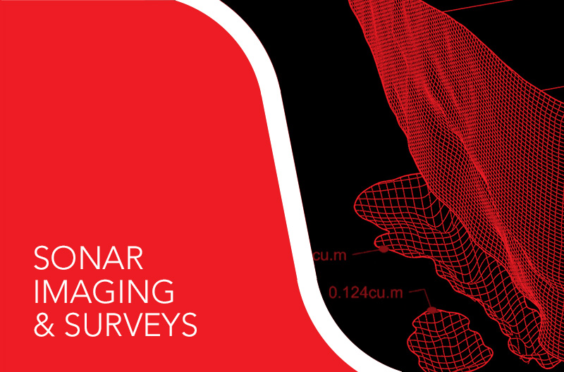 Sonar Imaging & Surveys